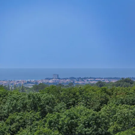 Petra By Interhome *